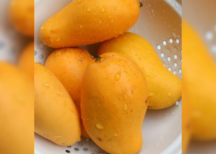 mangoes