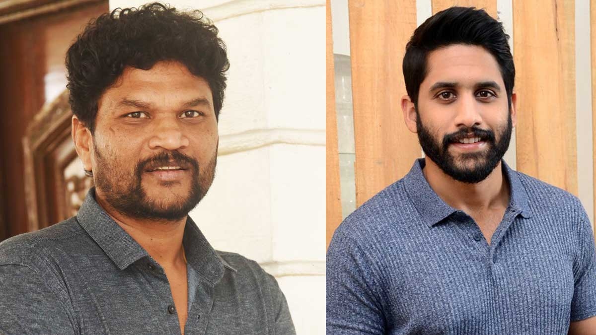 Hero NagaChaitanya Fans Counter To Family Star Movie Director Parasuram
