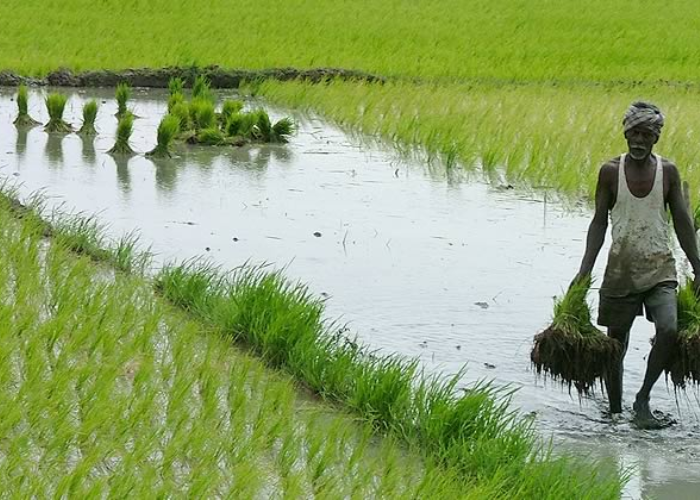 No Politics On Farmer Loan Waiver