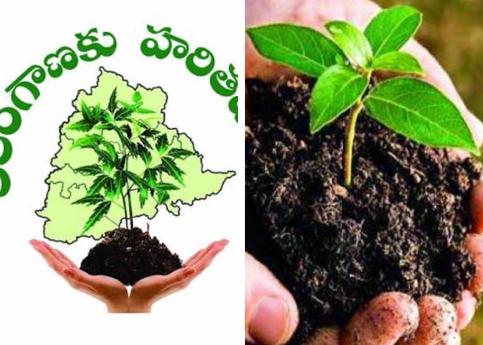 Congress Government Changes Haritha Haram Name As Indhira Vana Prabha