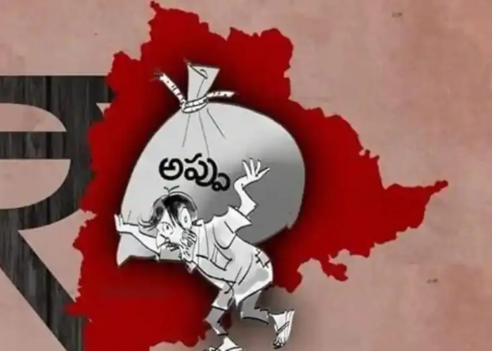 Telangana Finance controle
