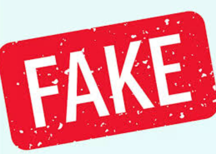 fake
