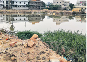 Hyd ponds kabja