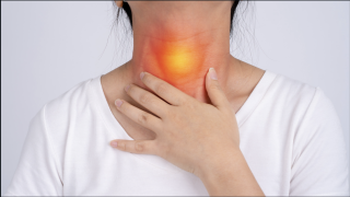 Can Organs Grow Back