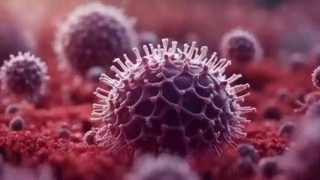 Carona Virus