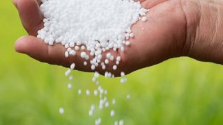 Urea