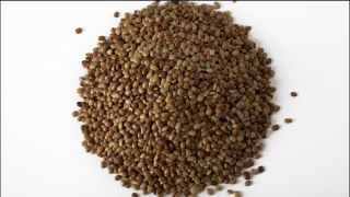 benefits of consuming horse gram