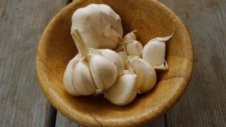 benefits of eating sprouted garlic