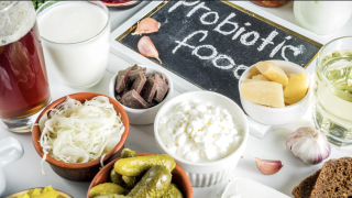 how good are probiotics from fermented food