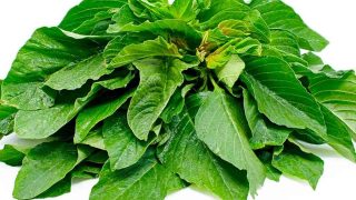 what happens if we consume thotakura daily