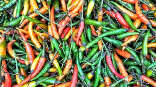 which chillies are better