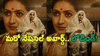Andhrula Annapurna Dokka Seethamma Movie
