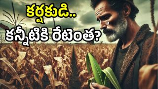 Corn Farmers