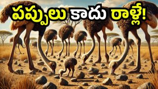 Ostriches (Image Source: Canva)