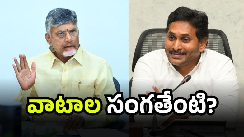 CM Chandrababu (Image Source: Twitter)