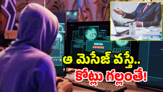 Cyber Fraud: