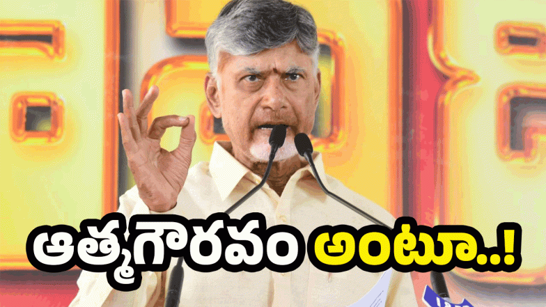 CM Chandrababu (image credit:Twitter)