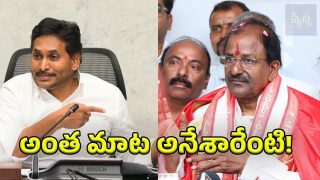 Somu Veerraju on YCP