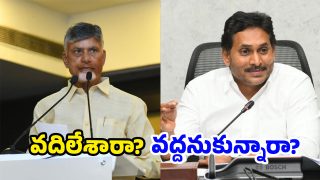 AP Elections (image credit:Twitter)