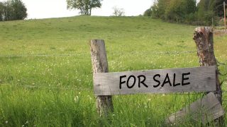 govt land sale