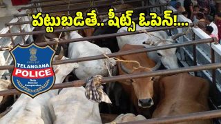 Warangal News