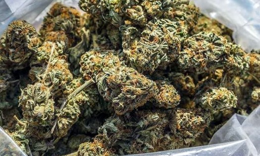Ganja Seized [ image credit twitter]