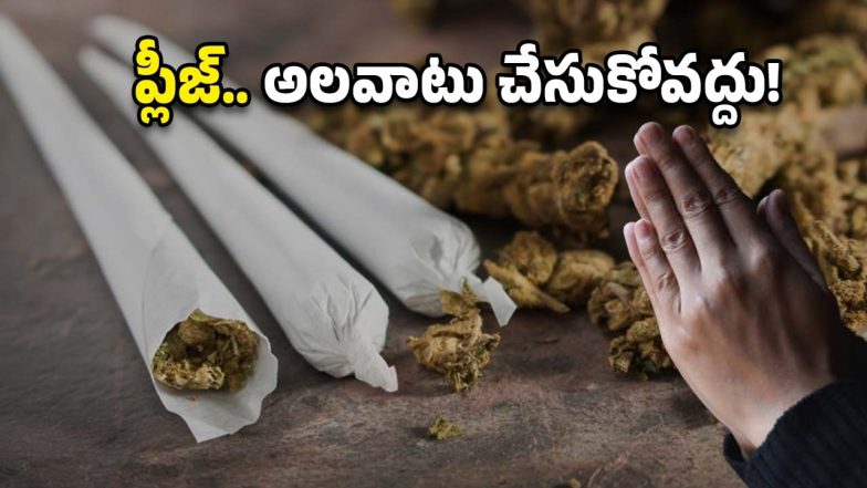 Ganja Seized