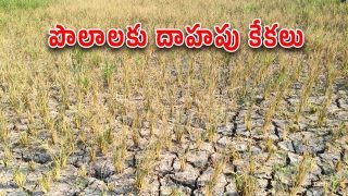 Hanamkonda District