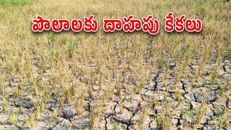 Hanamkonda District