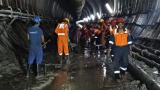 rescue
