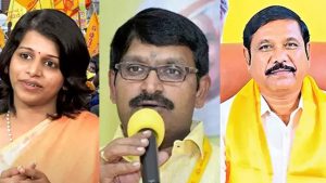 tdp mlcs