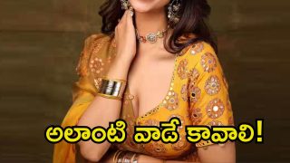 meenakshi chaudhary