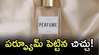 Hyderabad News (imagecredit:canva)