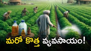 Telangana Farmers (imagecredit:AI)