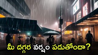 AP Weather update(image credit:)