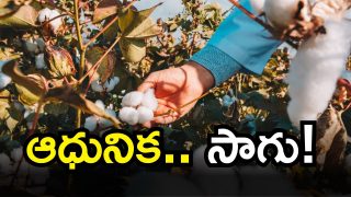 Jogipet News ( image credit: free pic)