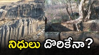 Rakshasa Caves (imagecredit:swetcha)