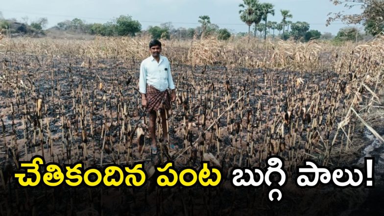 Hanamkonda Fire Accident (imagecredit:swetcha)