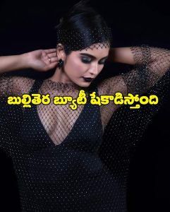 Priyanka M Jain