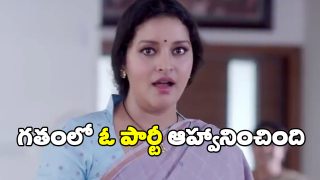 Renu Desai