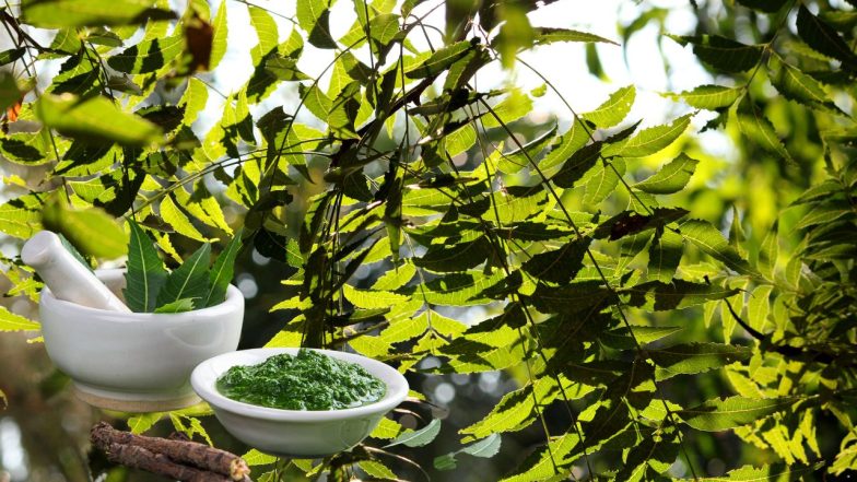 Neem Image Source pixbay