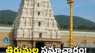 Tirumala (image credit:TTD)