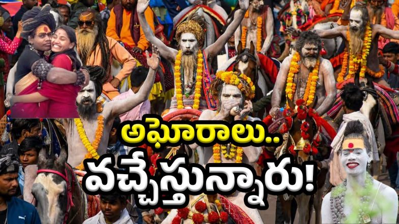 Shiva Rudra on Aghori (Image Source: Twitter)
