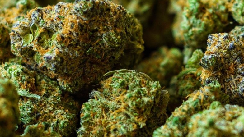 Ganja Seized [IMAGE CREDIT; twitter]
