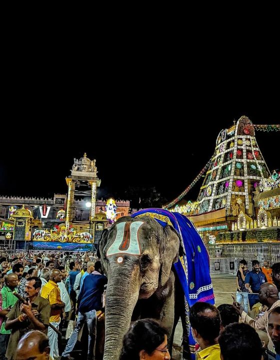 Tirumala (image credit:TTD)
