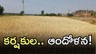 Telangana farmers(image credit: X)