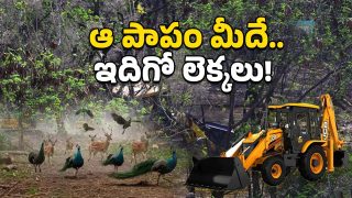 Telangana Image Source Twitter