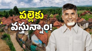 Palle Nidra - Palle Velugu(image credit:X)