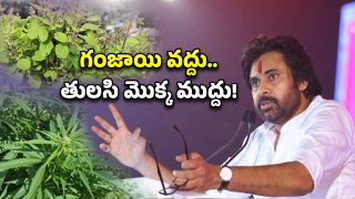 Deputy CM Pawan Kalyan