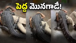 Viral Video ( Image Source: Twitter)
